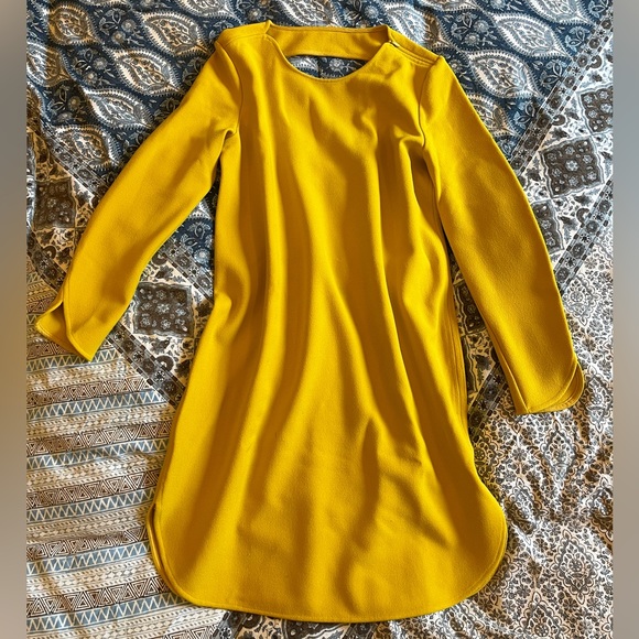 Zara Dresses & Skirts - Zara shift dress with cutout back